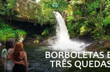 Cachoeira das Borboletas e Três Quedas: O que fazer em Lídice (Rio Claro – RJ) #106