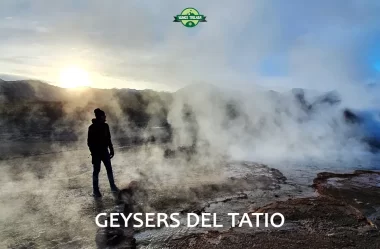 Geysers del Tatio: O que fazer no Atacama – Chile (FT. Fui Gostei Trips)