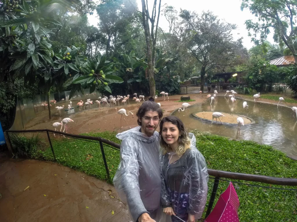Caminho do Parque das Aves - Foz do Iguaçu - PR - Vamos Trilhar-min
