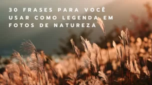 30 frases para você usar como legenda em fotos de natureza - Vamos Trilhar