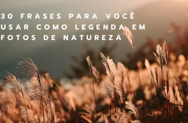 30 frases para você usar como legenda em fotos de natureza