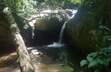 10 cachoeiras na região do Horto no Rio de Janeiro