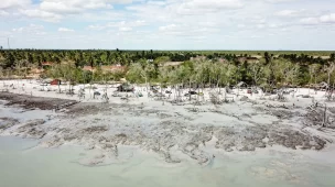 Conheça tudo sobre o Mangue Seco em Jericoacoara - CE - Vamos Trilhar