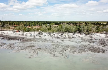 Conheça tudo sobre o Mangue Seco em Jericoacoara – CE