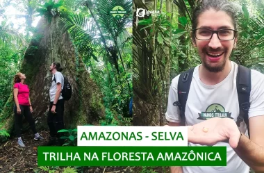 Trilha e nascer do sol na Selva Amazônica: conhecendo a floresta (ft. Iguana Tour)