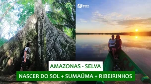 youtube-amazonas-selva-nascer-do-sol-ribeirinhos-sumauma-iguana-tour-vamos-trilhar