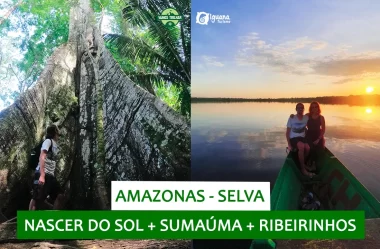 Nascer do sol, árvore sumaúma e casa de ribeirinhos na Selva Amazônica (ft. Iguana Tour)