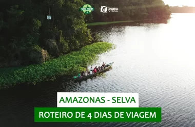 Selva Amazônica: o que fazer em 4 dias (ft. Iguana Tour) – resumo