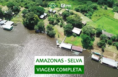 SELVA AMAZÔNICA: viagem completa de 4 dias (ft. Iguana Tour)