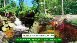 youtube-amazonas-presidente-cachoeira-do-periquito-rio-vermelho