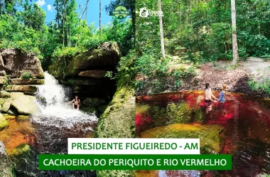 Cachoeira do Periquito E Rio Vermelho: o que fazer em Presidente Figueiredo – AM (ft. Iguana Tour)