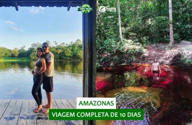 Amazonas: o que fazer em 10 dias (ft. Iguana Tour) – resumo