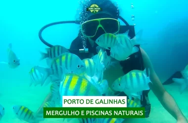 Mergulho e Piscinas Naturais com chuva: o que fazer em Porto de Galinhas (PE)