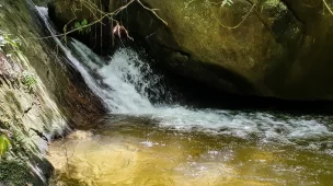 Roteiro da trilha do Poço da Caninana - Parnaso - Guapimirim - Vamos Trilhar