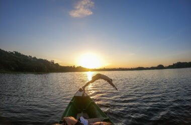 Roteiro de 4 dias de viagem pela Selva Amazônica – AM