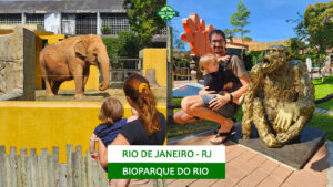 BioParque do Rio: o que fazer no zoológico do Rio de Janeiro (RJ) - VT