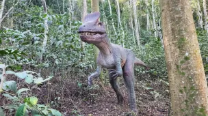 Conheça tudo sobre a Terra dos Dinos - Miguel Pereira - RJ - Vamos Trilhar