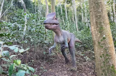Conheça tudo sobre a Terra dos Dinos – Miguel Pereira – RJ