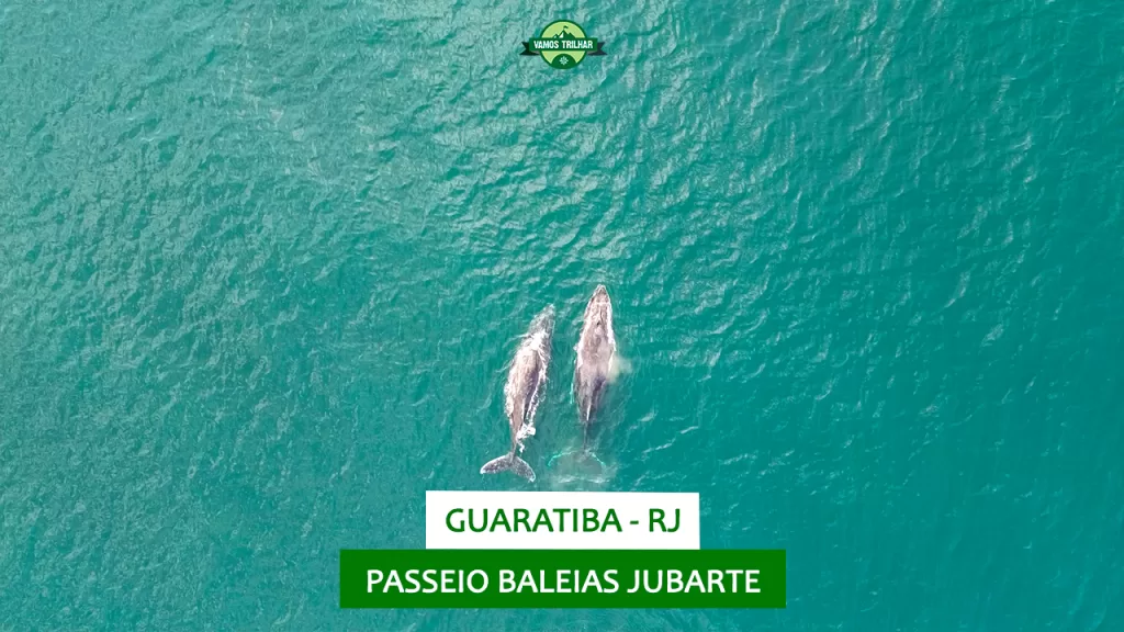 youtube-rj-guaratiba-passeio-baleias-jubarte-vamos-trilhar