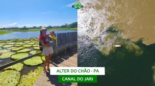 youtube-alter-do-chao-dia-3-canal-do-jari-vamos-trilhar