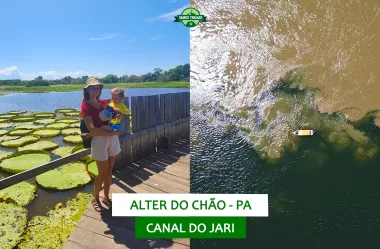 Terceiro dia em Alter do Chão (PA): Canal do Jari