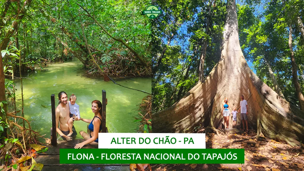 youtube-alter-do-chao-dia-5-flona-floresta-nacional-do-tapajos-vamos-trilhar