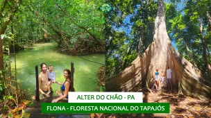 youtube-alter-do-chao-dia-5-flona-floresta-nacional-do-tapajos-vamos-trilhar