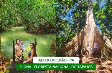 Quinto dia em Alter do Chão (PA): Floresta Nacional do Tapajós (FLONA)