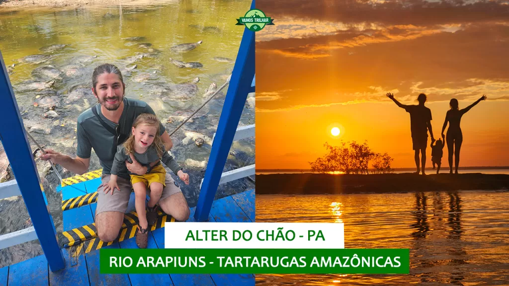 youtube-alter-do-chao-dia-6-rio-arapiuns-tartarugas-amazonicas-vamos-trilhar