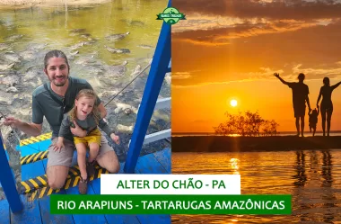 Sexto dia em Alter do Chão (PA): Rio Arapiuns – Tartarugas Amazônicas
