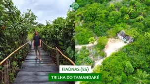 youtube-espirito-santo-itaunas-trilha-do-tamandare-vamos-trilhar