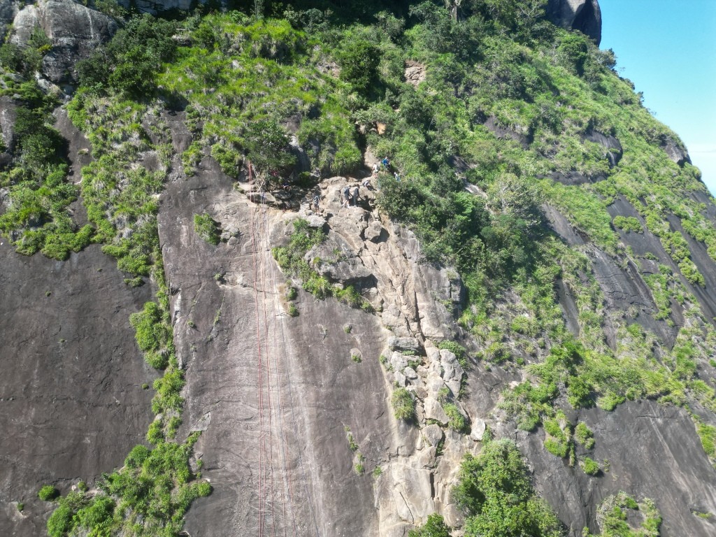 A Carrasqueira - Pedra da Gávea - Floresta da Tijuca - RJ