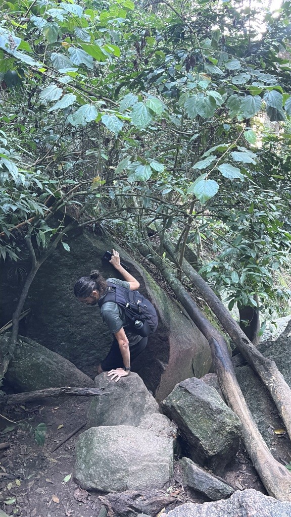 Geladeira - Pedra da Gávea - Floresta da Tijuca - RJ