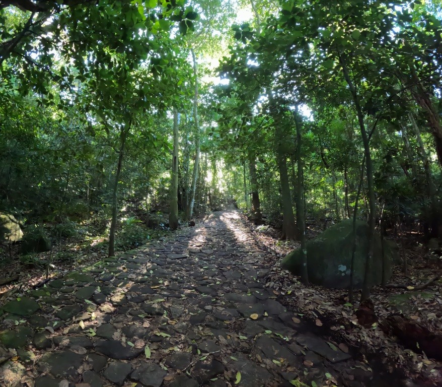 Início da trilha da Pedra da Gávea - Floresta da Tijuca - RJ