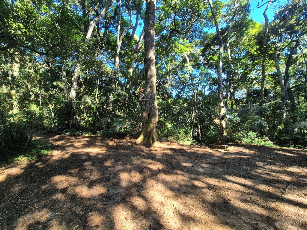 Praça da Bandeira - Pedra da Gávea - Floresta da Tijuca - RJ