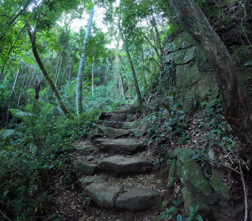 Subida íngreme na trilha da Pedra da Gávea - Floresta da Tijuca - RJ