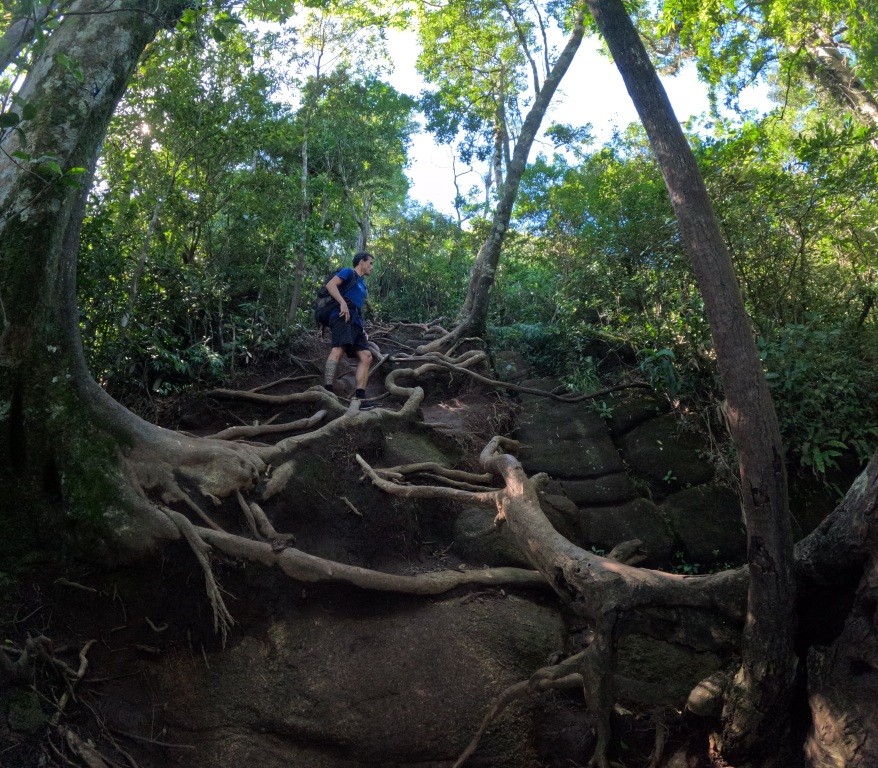 Trecho final da subida - Pedra da Gávea - Floresta da Tijuca - RJ