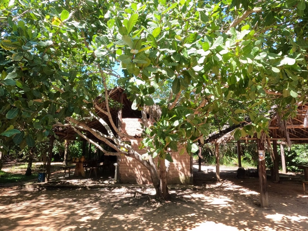 Entrada do Fervedouro do Buritizinho - Jalapão (TO) - Vamos Trilhar