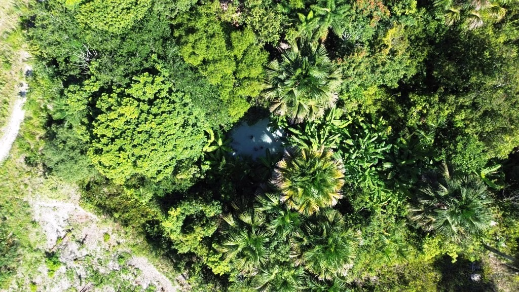 Vista aérea do Fervedouro das Macaúbas – Jalapão – TO - Vamos Trilhar