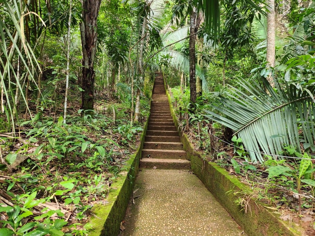 A trilha das Cachoeiras Escorrega Macaco e Roncadeira - Jalapão - TO - Vamos Trilhar