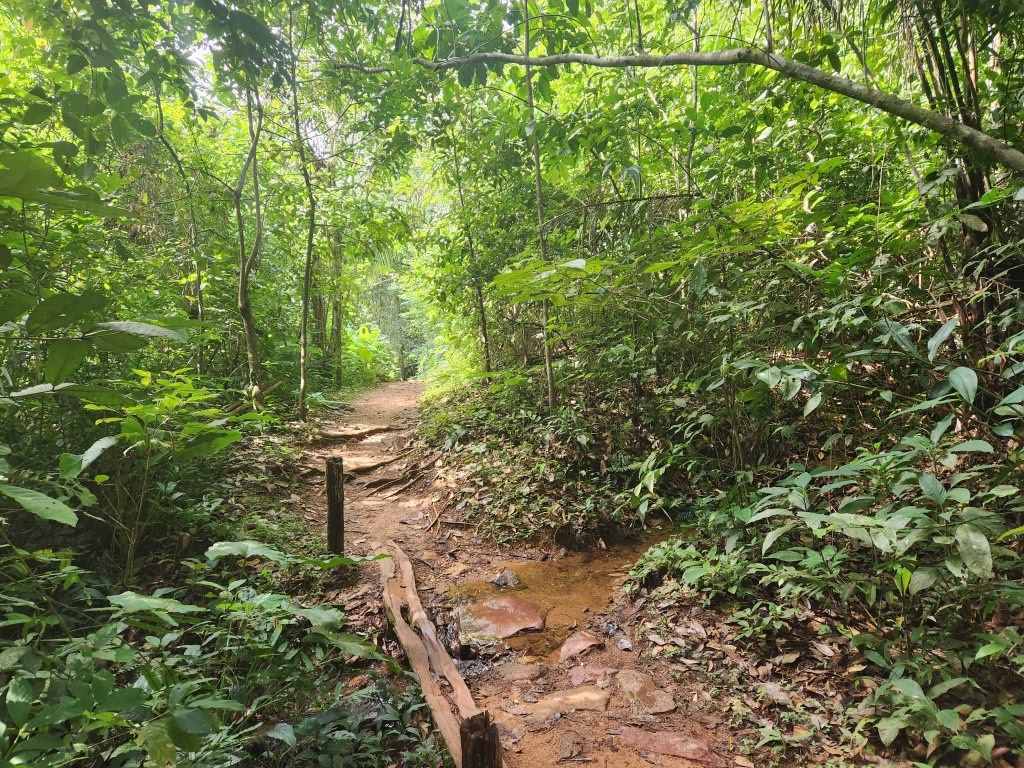 Andando na trilha das Cachoeiras Escorrega Macaco e Roncadeira - Jalapão - TO - Vamos Trilhar