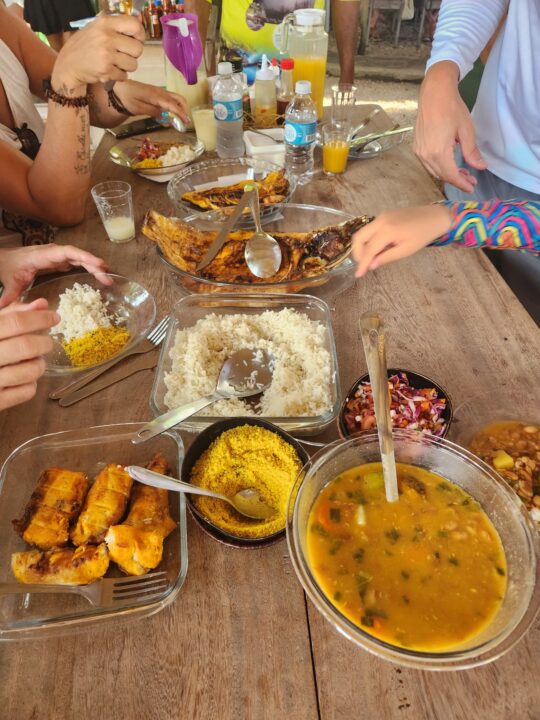 Almoço na Comunidade Coroca - Passeio das Tartarugas Amazônicas - Alter do Chão - PA - Vamos Trilhar