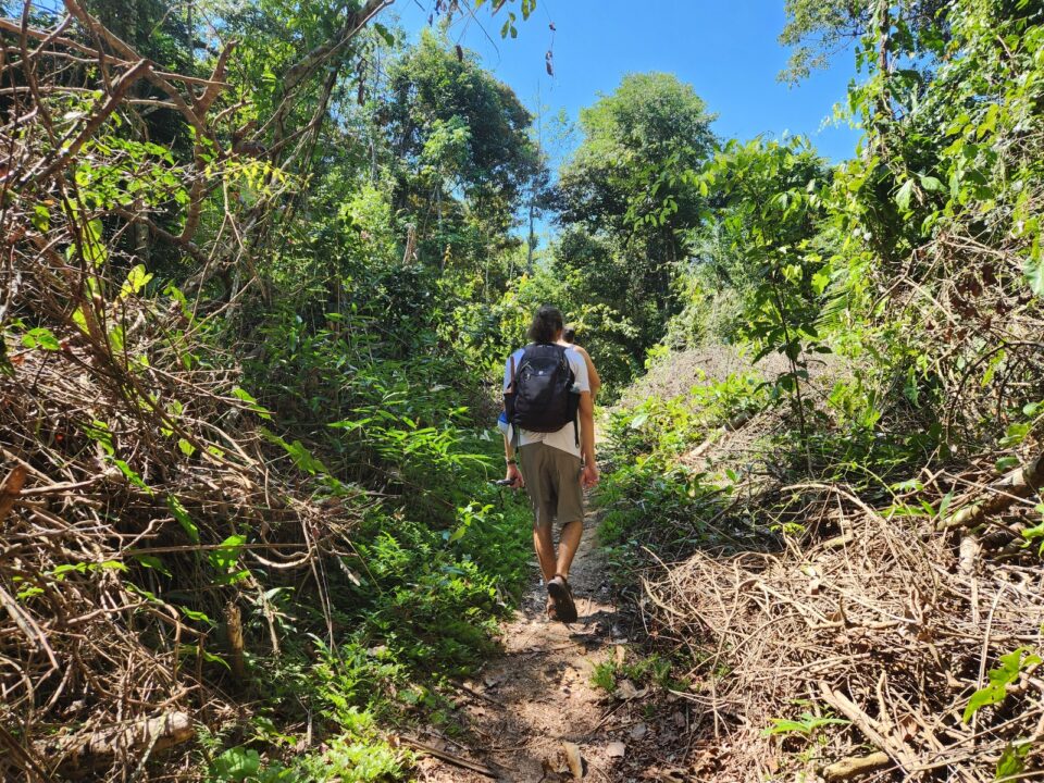 Andando na trilha do FLONA Jamaraquá - Tapajós - Alter do Chão - PA - Vamos Trilhar