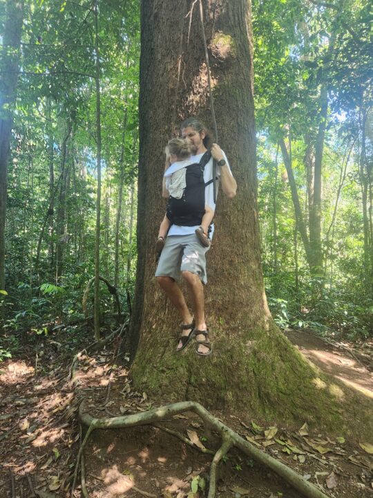Brincando de Tarzan no FLONA Jamaraquá - Tapajós - Alter do Chão - PA - Vamos Trilhar