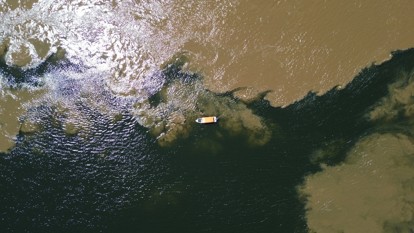 Canal do Jari em Alter do Chão guia completo do passeio de barco e vitórias-régias - Vamos Trilhar