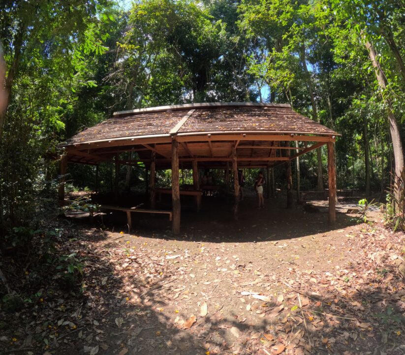 Dicas para o passeio do FLONA Jamaraquá - Tapajós - Alter do Chão - PA - Vamos Trilhar