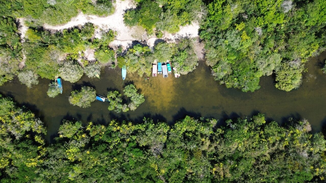 Floresta Encantada em Alter do Chão (PA) guia completo do passeio - Vamos Trilhar