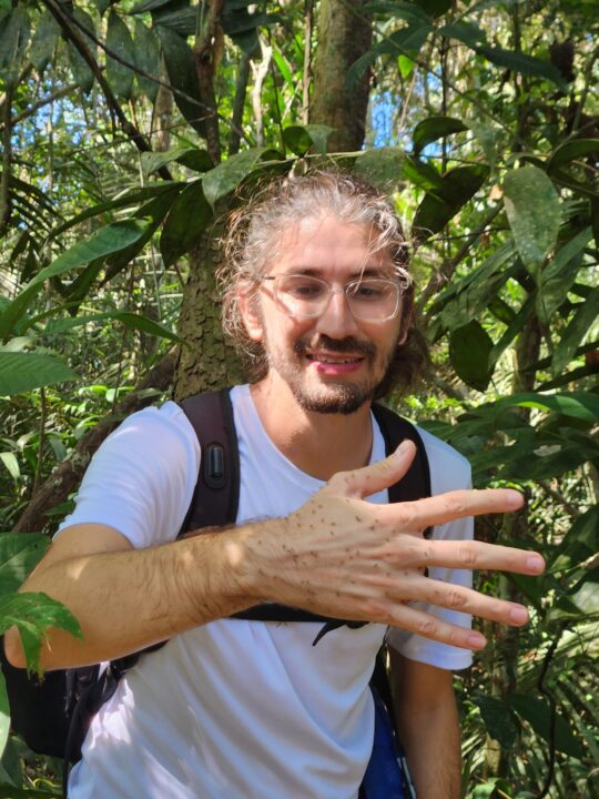 Formigas tapibas no FLONA Jamaraquá - Tapajós - Alter do Chão - PA - Vamos Trilhar