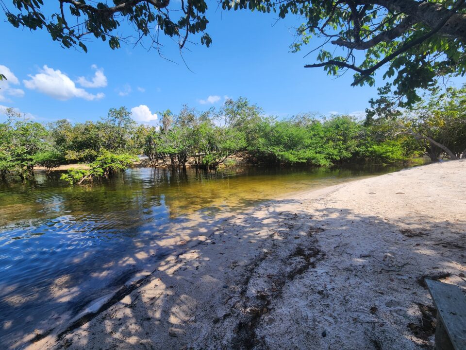 Igarapé da Comunidade Arimum - Turismo de Cura - Rio Arapiuns - Alter do Chão - PA - Vamos Trilhar