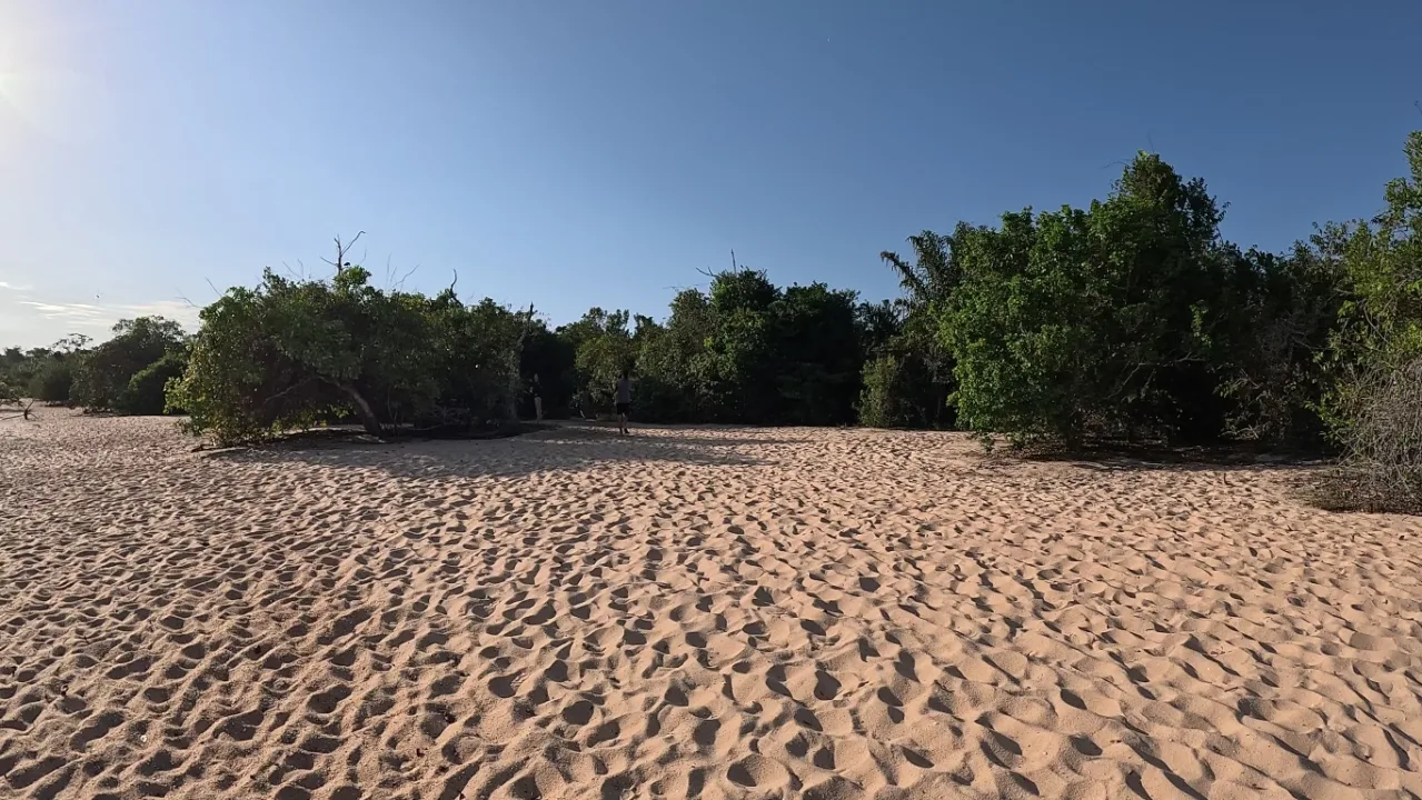 Início da trilha da Serra da Piraoca - Alter do Chão - PA - Vamos Trilhar